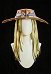 Peluca de cosplay 2D Line Art Ver JJBA Gyro Zeppeli con sombrero