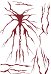 Love and deepspace Sylus Cosplay Accessory Scarlet Passion Oversized Tattoo Sticker