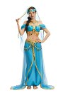 Aladdin Arabian Princess Cosplay Costume Top and Pants with Veil and Headband