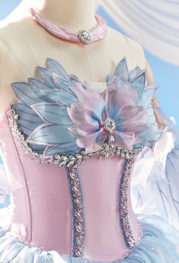 Swan Lake Odette Gown Cosplay  Kostüm Prinzessin Kleid mit Ärmeln und Halskette