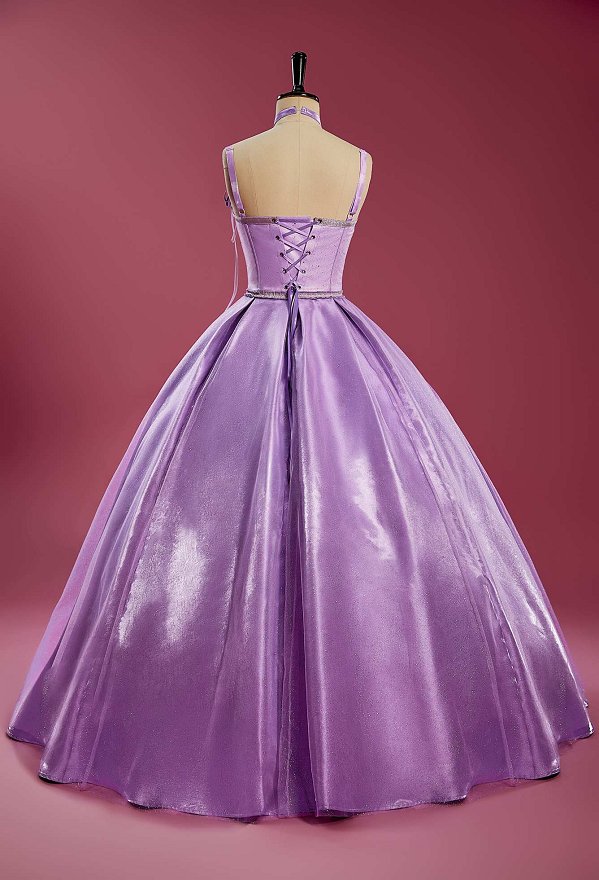 Barbara and the Magic of Pegasus Princess Annika Cosplay Costume Dress with Crown and Choker