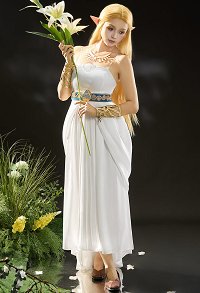Premium Edition The Legend of Zelda Princess Zelda Cosplay Costume Dress with Apron and Belt