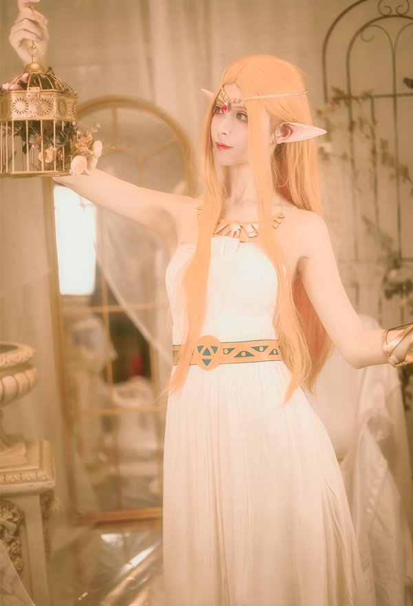 La leyenda de Zelda: Breath of the Wild Costume de Cosplay Vestido de Princesa Zelda