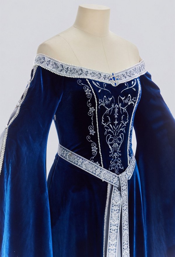 Daizbella Medieval Fantasy Elf Gown Off-Shoulder Embroidered Velvet Dress with Flared Sleeves