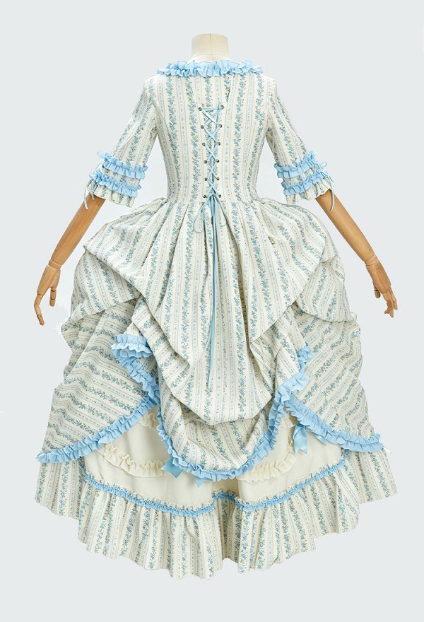 Daizbella Medieval Rococo Style Floral Dress Polish-style Ruffle Dress and Half Skirt