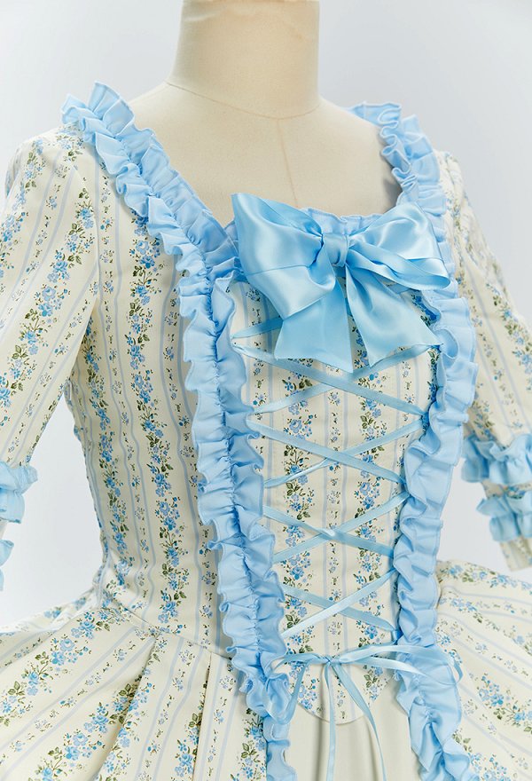 Daizbella Medieval Rococo Style Floral Dress Polish-style Ruffle Dress and Half Skirt