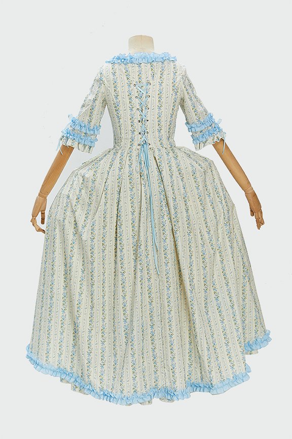 Daizbella Medieval Rococo Style Floral Dress Polish-style Ruffle Dress and Half Skirt