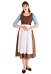 Cinderella Cosplay Kostüm brown Hausmädchen Kleid mit Schal