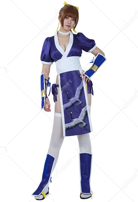 Disfraz Cosplay de Dead or Alive Kasumi