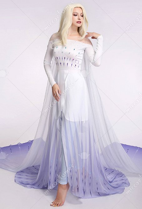Exclusive Costume de Cosplay Princesse Elsa Reine Glace Robe