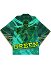 JJBA Costume de Cosplay Noriaki Kakioin Hierophant Green Kimono Veste Haori de Style Japonais