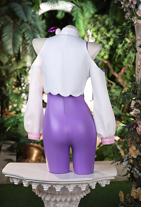 Re Starting Life in Another World Emilia Combat Suit Cosplay Costume Bodysuit and Top with Cape and Headpiece