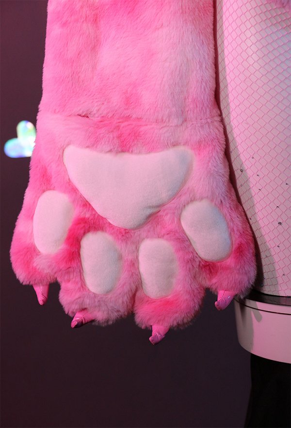 Sexy Bikini Lingerie Set Pink Cat Style Furry Top and Panty with Paws and Fishnet Stockings Sexy Bikini Lingerie Set Pink Cat Style Furry Top and Panty with Paws and Fishnet Stockings