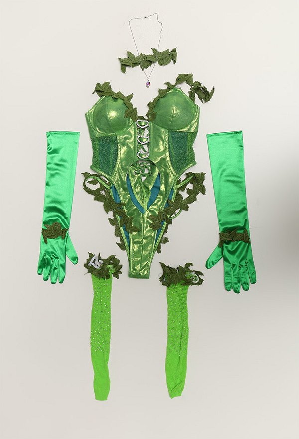 Sexy Lingerie Bodysuit Vine Style Bodysuit and Thigh Socks with Gloves and Choker