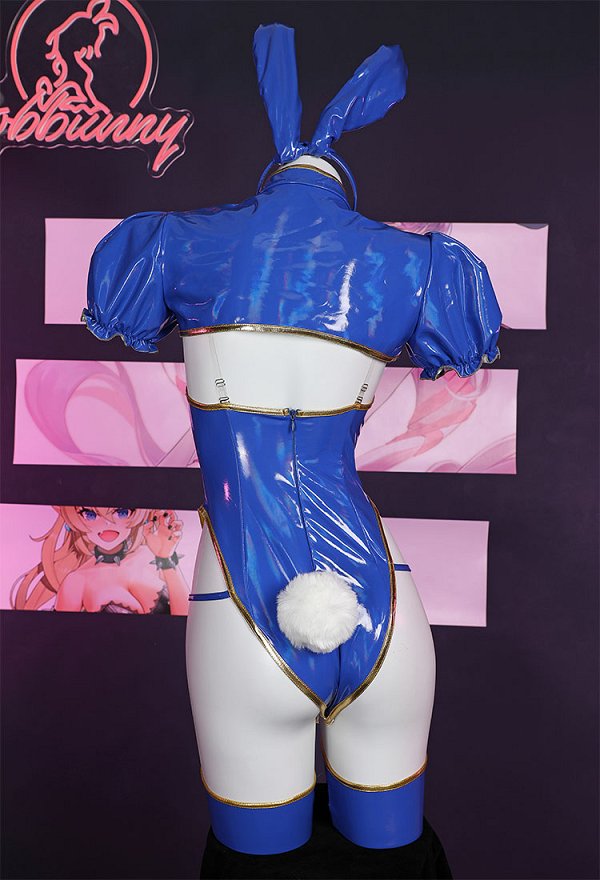 SF Chun-Li Derivative Sexy Lingerie Bunny Costume Bodysuit and Top with Thigh Socks SF Chun-Li Derivative Sexy Lingerie Bunny Costume Bodysuit and Top with Thigh Socks
