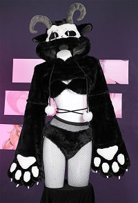 Furry Paw Lingerie Sexy en Peluche Kawaii Vêtements de Maison Style Mouton Gants de Patte Sweat à Capuche Ensemble Soutien-Gorge et Culotte