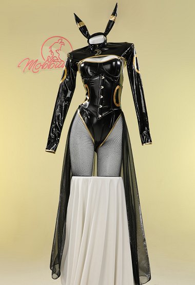 PM Derivative Sexy Lingerie Set Black Bodysuit and Top with Chiffon Skirt Headband Tail