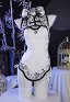 Sora Kasugano Sexy Dessous Set Lingerie Chinesisches Cheongsam Kleid mit Tanga Strümpfen