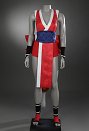 SF SF6 Mai Shiranui Cosplay Kostüm Rotes Kleid Oberteil Shorts Bund Handschuhen Schwanz