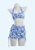 Retro Floral Print Two-piece Swimsuit Halter Top and Skirted Bottom