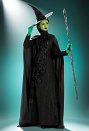 Wicked Elphaba Cosplay Ensemble Halloween Costume Robe avec chapeau et cape