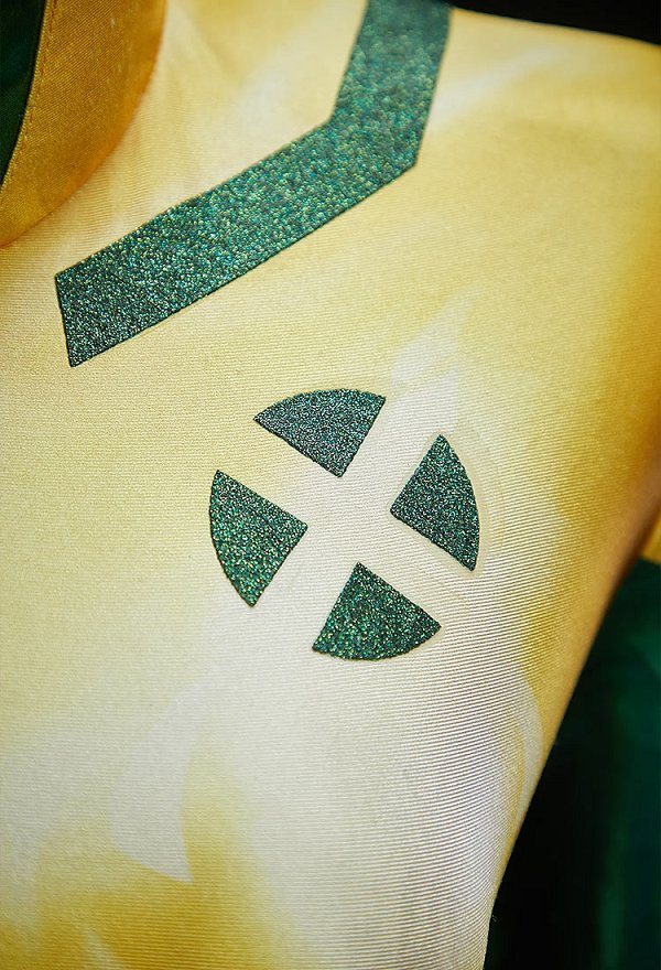 Costume de cosplay Rogue en édition Premium combinaison avec veste et gants