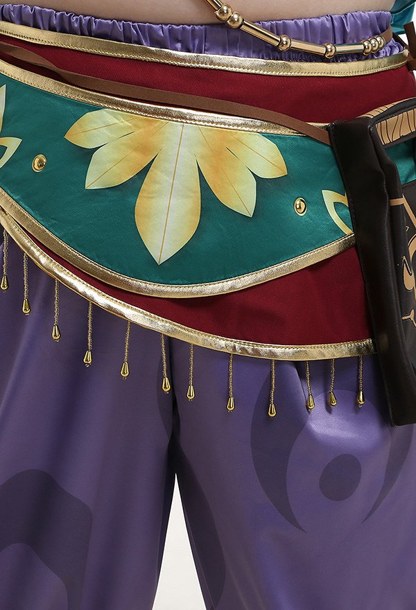 Plus Size Female The Legend of Zelda Breath of the Wild Link Women Gerudo Outfit Cosplay Costume