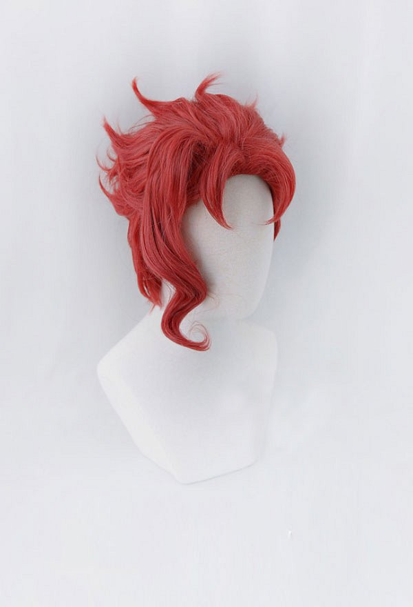 JJBA Noriaki Kakioin Cosplay Wig