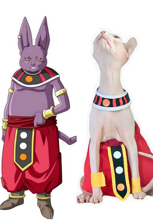 Accessoire pour Sphynx Chat Pets Beerus Champa Dérivé Chat Costume de Cosplay Animal
