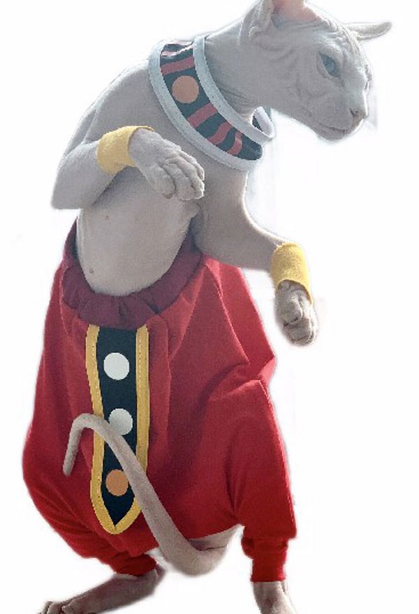 Accessoire pour Sphynx Chat Pets Beerus Champa Dérivé Chat Costume de Cosplay Animal
