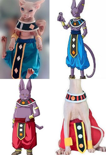 Beerus Derivative Cat Costume Pet Clothes for Sphynx Cat