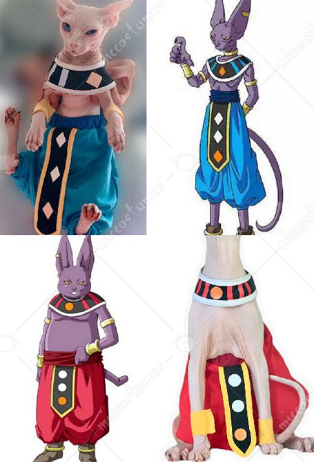 Accessoire pour Sphynx Chat Pets Beerus Champa Dérivé Chat Costume de Cosplay Animal
