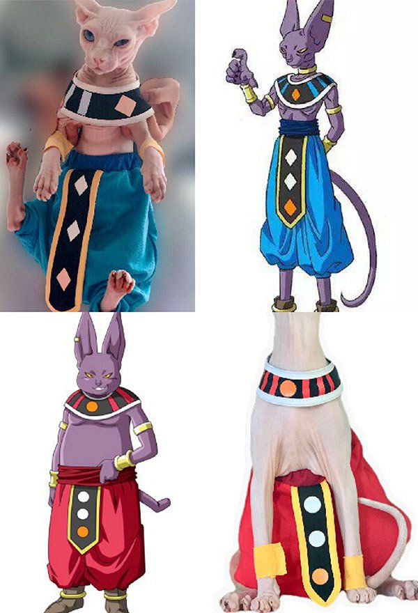 Accessoire pour Sphynx Chat Pets Beerus Champa Dérivé Chat Costume de Cosplay Animal