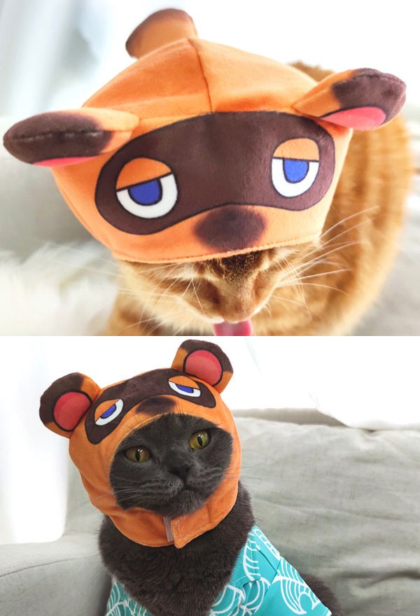 Tanukichi Raccoon Dog Cat Cosplay Costume Hooded Headgear for Small Pets