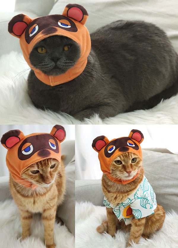 Tanukichi Raccoon Dog Cat Cosplay Costume Hooded Headgear for Small Pets