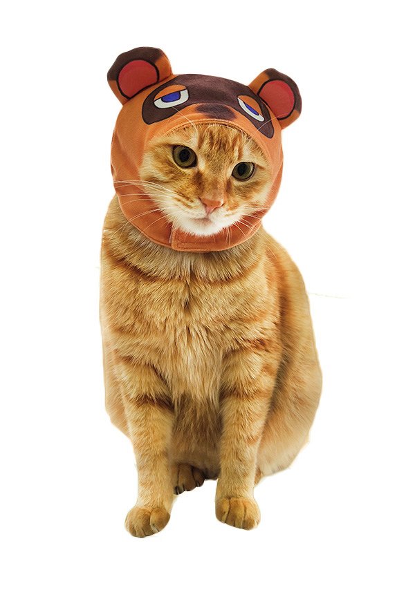 Tanukichi Raccoon Dog Cat Cosplay Costume Hooded Headgear for Small Pets