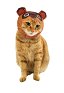 Tanukichi Raccoon Dog Cat Cosplay Costume Hooded Headgear for Small Pets