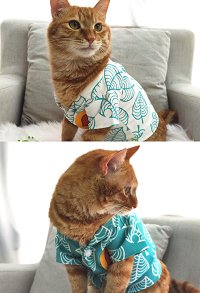 Tanukichi Raccoon Cat Dog Cosplay Costume T-Shirt for Small Pets
