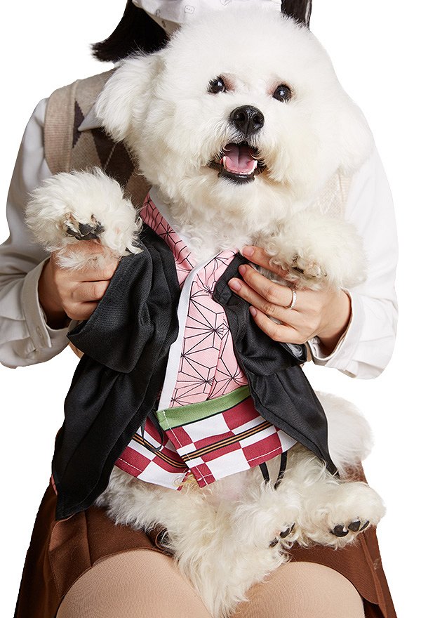Red Bean Cat Dog Cosplay Costume Cat Dog Puppy Clothes T-Shirt for Small Pets