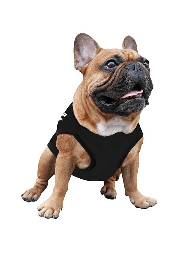 Vêtement à Col Rond Cartoon Halloween pour Animaux Domestiques avec des Caractères Noirs Vêtement à Col Rond Cartoon Halloween pour Animaux Domestiques avec des Caractères Noirs
