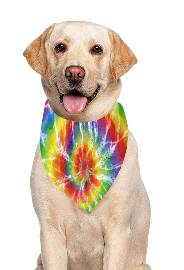 Halloween Personalized Cat Dog Bandana with Rainbow Pattern