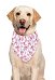Halloween Adorable Cat Dog Bandana with Strawberry Pattern
