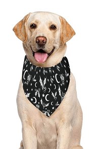 Halloween Personalized Cat Dog Bandana with Black and White Bat Pattern