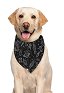 Halloween Personalized Cat Dog Bandana with Universe Planet Pattern