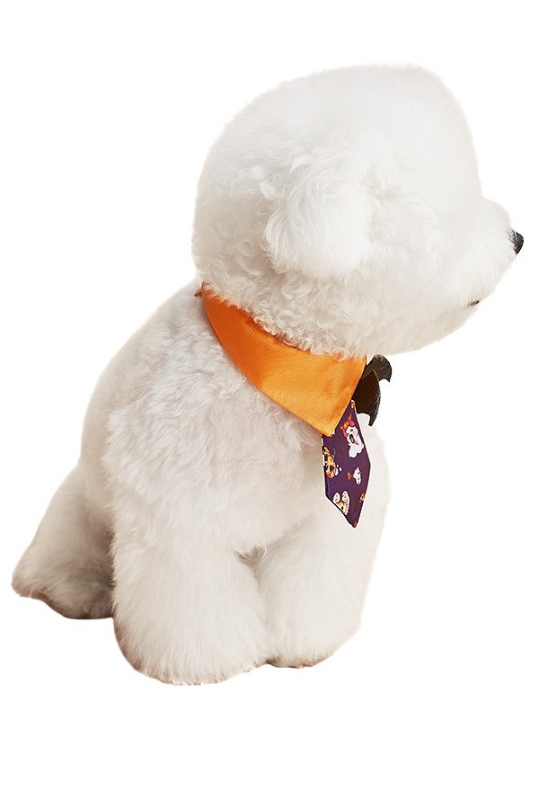 Adorable Halloween Cat Dog Suit Collar Tie with Bat Decoration Spider Web Ghost Pattern