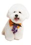 Adorable Halloween Cat Dog Suit Collar Tie with Bat Decoration Spider Web Ghost Pattern