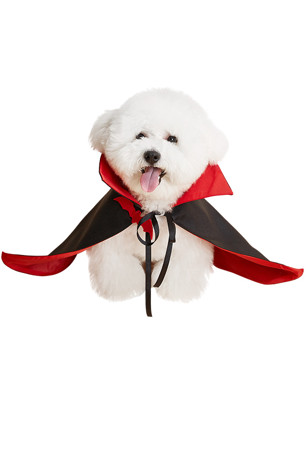Halloween Vampir Umhang Haustier Kostüm Hund Haustier Katze Cosplay Kostüm