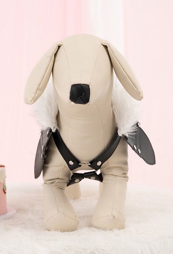 Costume de Cosplay pour Pet Chien et Chat Style Médiéval Cape Costume de Cosplay pour Pet Chien et Chat Style Médiéval Cape