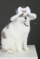 MH Wilds Felyne Cat Cosplay Hat Plush Hat Accessory for Small Pets MH Wilds Felyne Cat Cosplay Hat Plush Hat Accessory for Small Pets