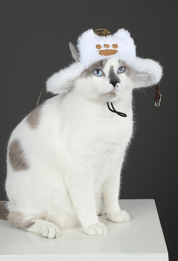 MH Wilds‌ Felyne Chapeau Cosplay Chat Peluche Accessoire Chapeau pour Petits Animaux
